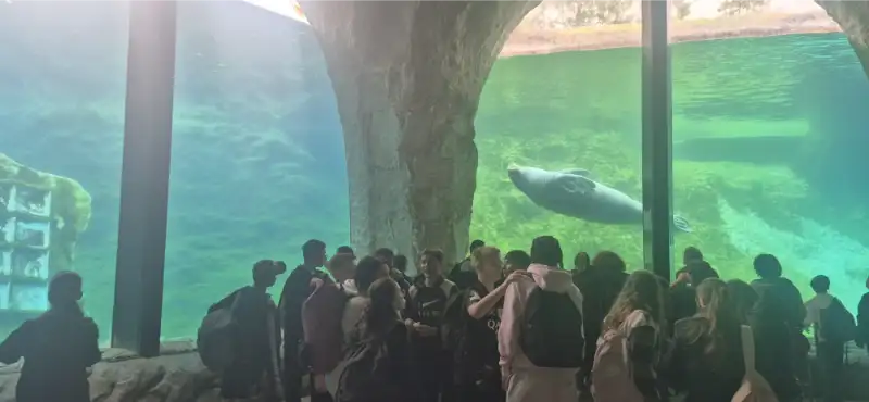 Pairi Daiza Pairi Daiza