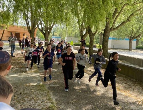 Un CROSS placé sous le signe du sport et de la convivialité